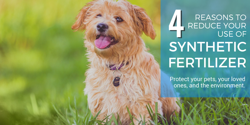 Reasons to Reduce Synthetic Fertilizer Use Schill Grounds Management